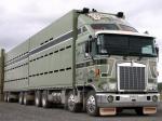 Kenworth K100E 1984 года